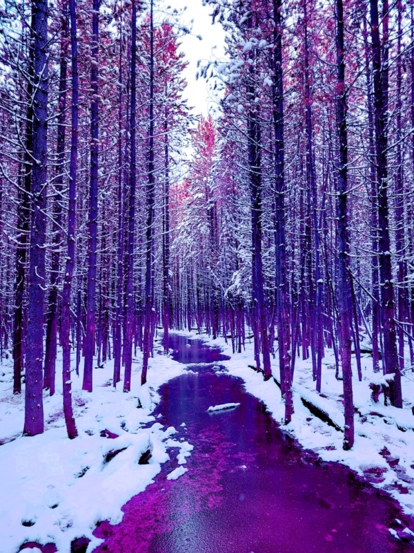 First SnowFall in Fall GTNP 2025