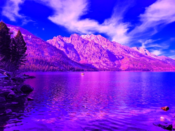 JENNY LAKE w RED BOAT