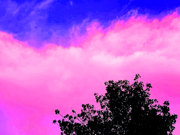 Meadowlark Sky I