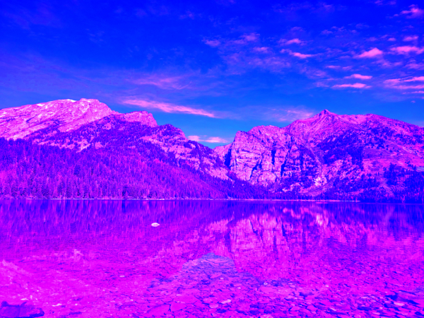 Phelps Lake PINK II
