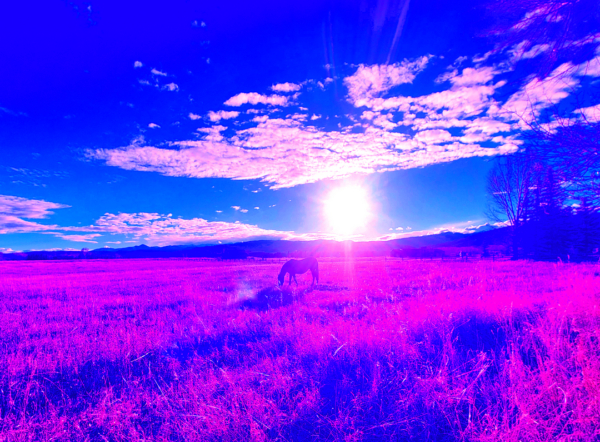 SUNSET OVER A MARE I