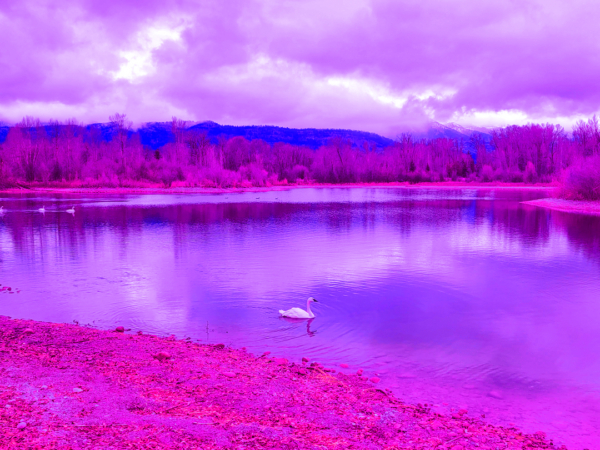 SWANN LAKE AT BOYLES HILLS ROAD 6