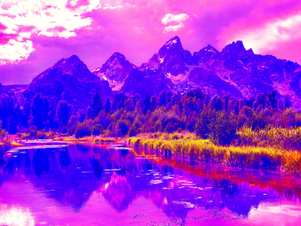 Schwabacher Landing I