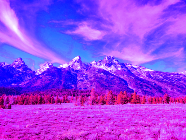 TETONS FROM THE BIKE PATH I