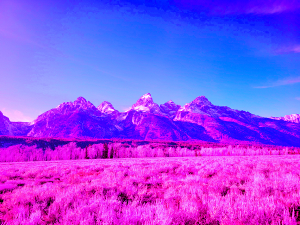 TETONS FROM THE BIKE PATH II